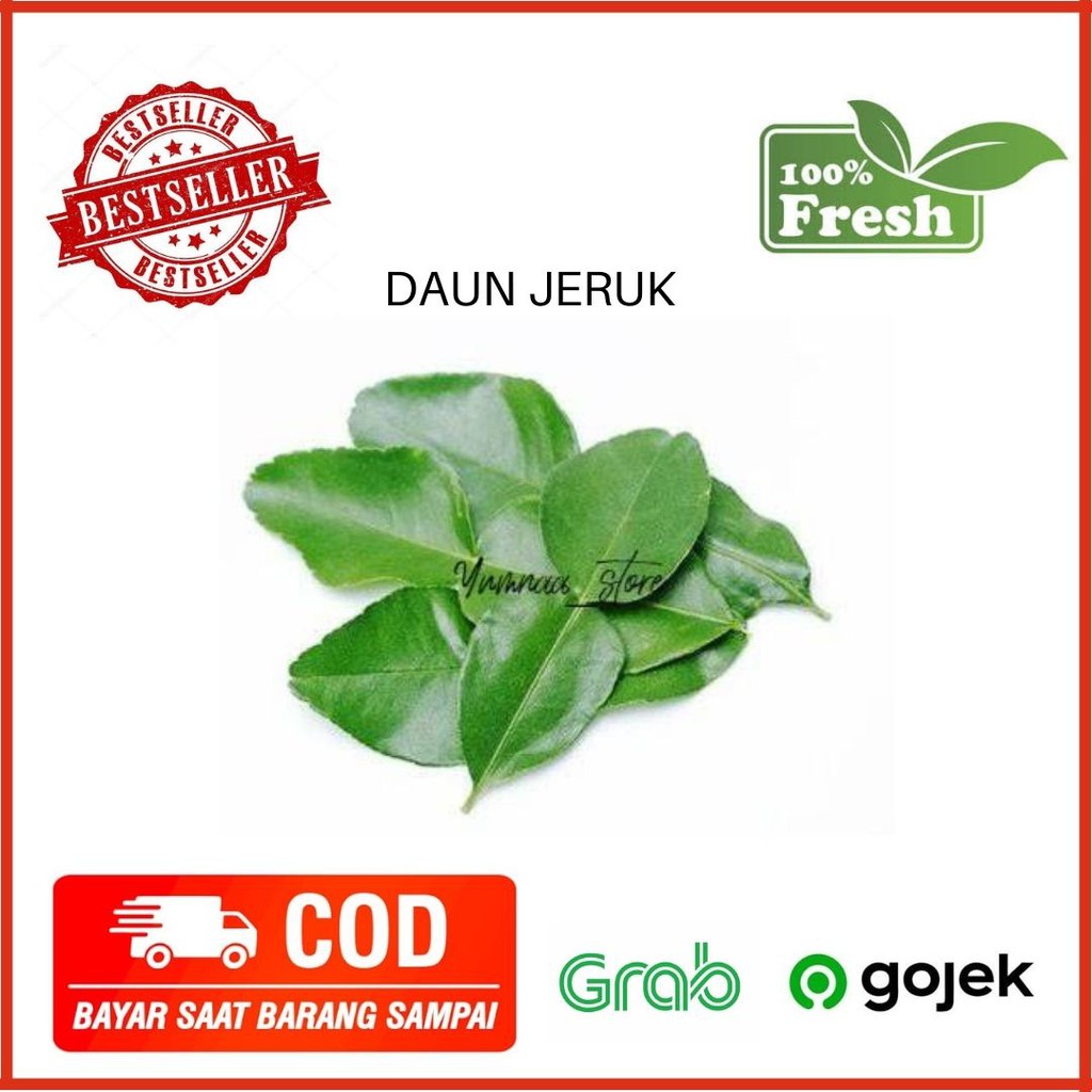 

Daun Jeruk Bumbu Dapur Sayur Mayur Sayur Segar Sayur Murah 100 Gram