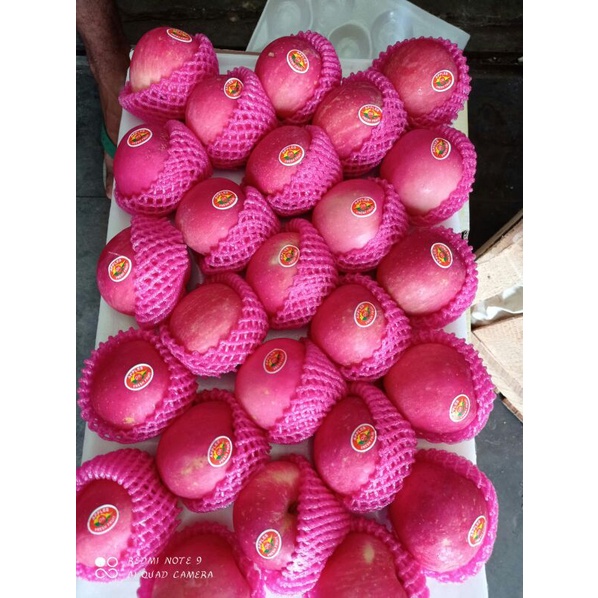 

Apel Fuji Premium