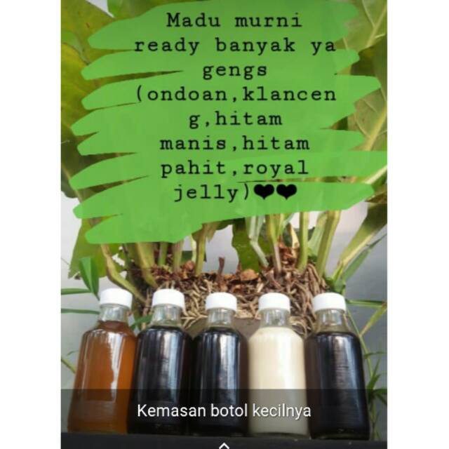

Madu murni
