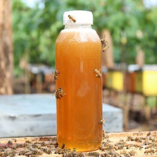 

[700 gr] MADU ASLI DAN MURNI TANPA CAMPURAN APAPUN | RAW HONEY