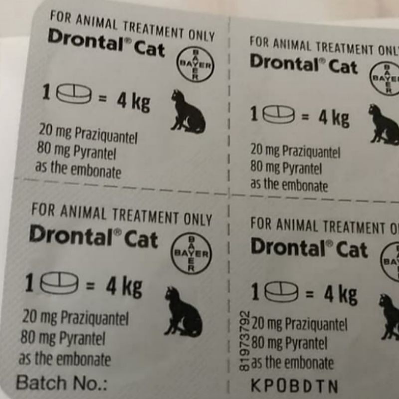 Drontal Cat 20 Butir | Drontal Kucing | Obat Cacing Kucing | Obat Cacing Drontal | Drontal