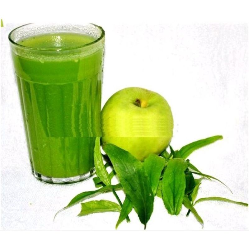 

JUS DAUN BELALAI GAJAH / KALINGSIR 250ML