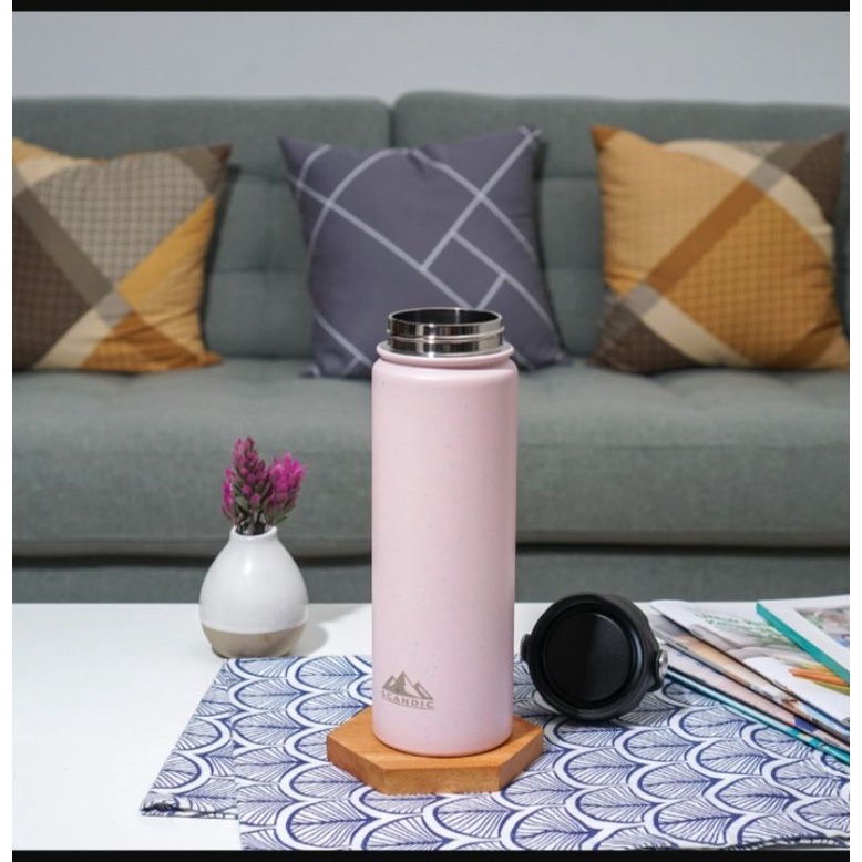 Scandic Stainless Steel Bottle 650 ml Pink