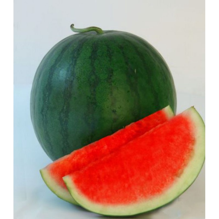 

Semangka amara non biji