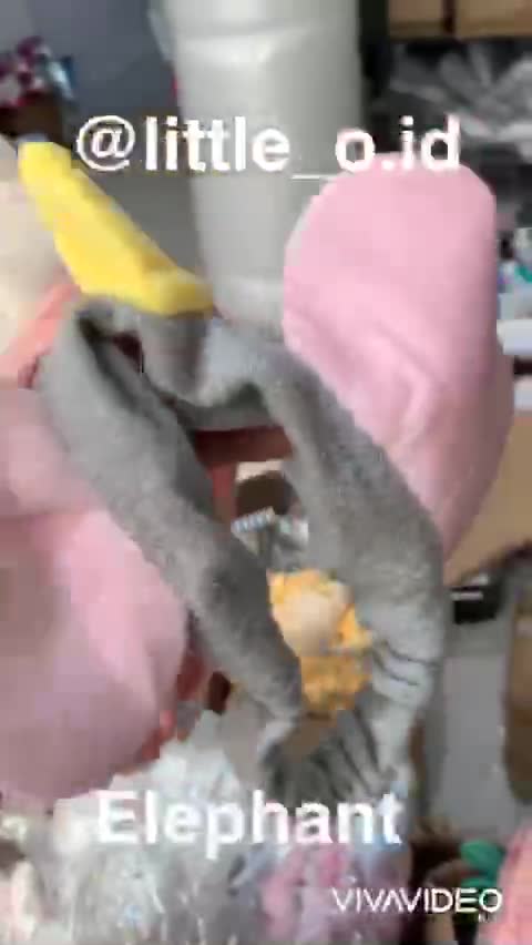 Cute Hair Band Bathroom / Headband / BANDANA lucu / Bando Mandi | Shopee Indonesia