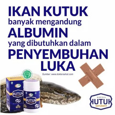 KUTUK HI MIN HIMIN IKAN 60 kapsul GABUS KAYA PROTEIN ALBUMIN NATURAFIT