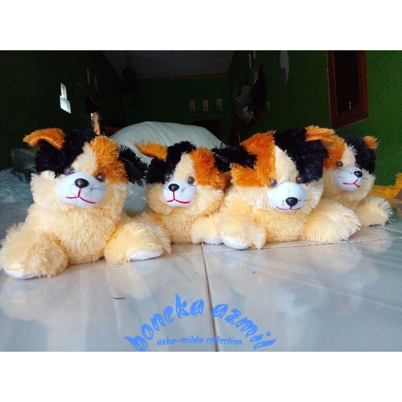 Boneka kucing lucu Persia size l