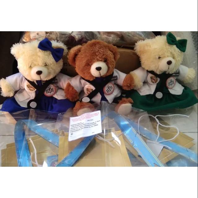 

Bear profesi 25 cm kemasan mika