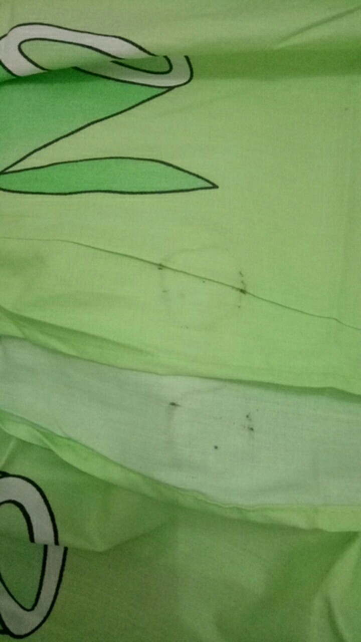 Proven Sprei- Sprei Katun Lokal Esra Motif Panda Bamboo