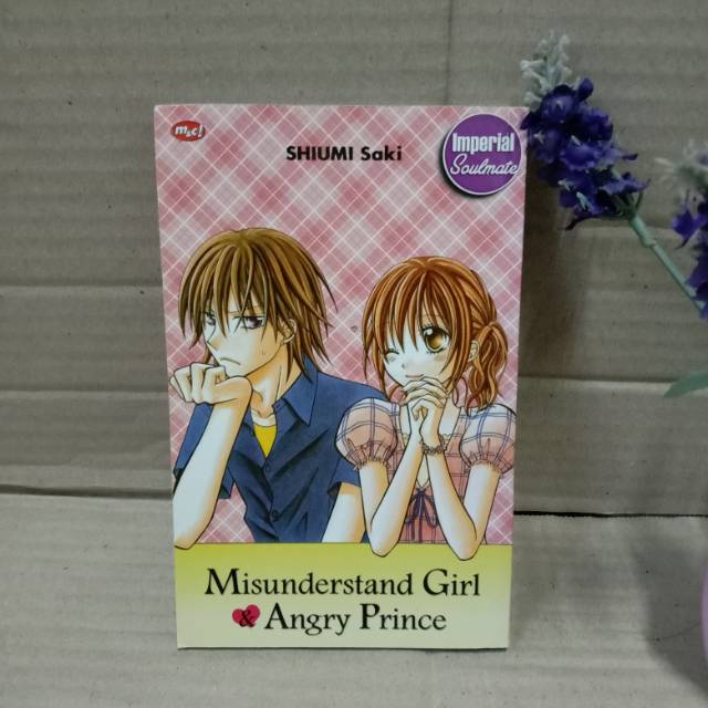 Misunderstand girl &amp; angry prince