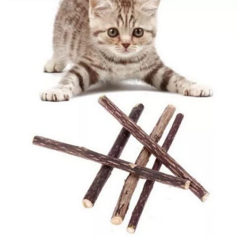 CATNIP STICK MATABI - Catnip Snack Makanan Kucing Kitten Cat Nip Stick