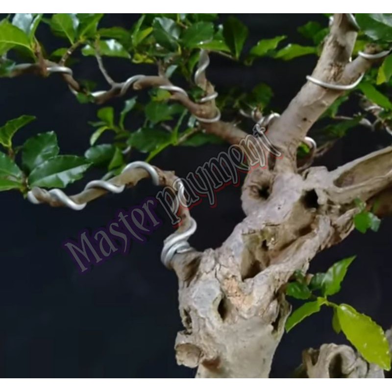 Kawat Bonsai Putih Doff 2mm Eceran Harga Per Meter