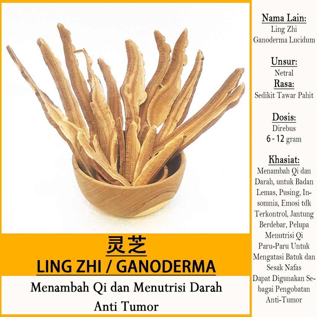 

LIN CHI Ganoderma [Ling Zhi 灵芝片] u.AntiOksidan, AntiTumor per 150gram