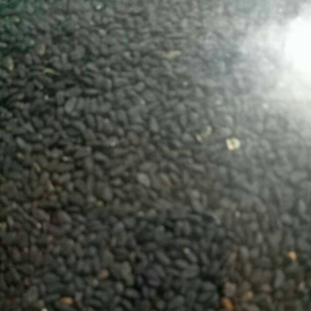 

Jinten hitam 100gr