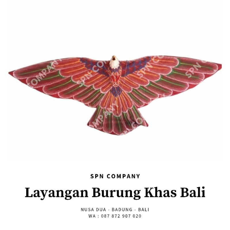 Layangan burung elang khas bali