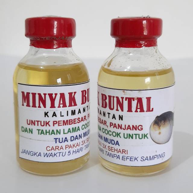 Minyak Buntal Asli Kalimantan
