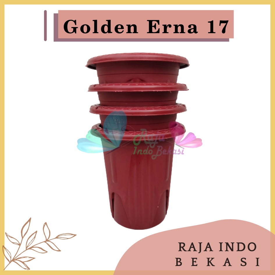 Pot Golden Erna 17 Coklat Merah Bata Terakota - Pot Yogap 15 17 Murah