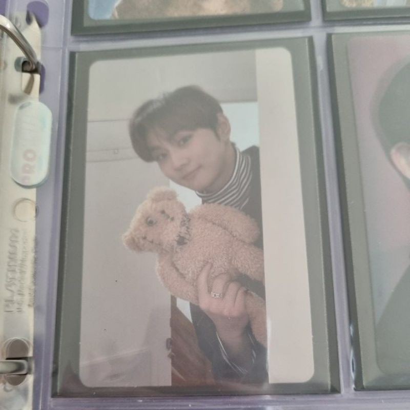 jungwon teddy hype pc photocard
