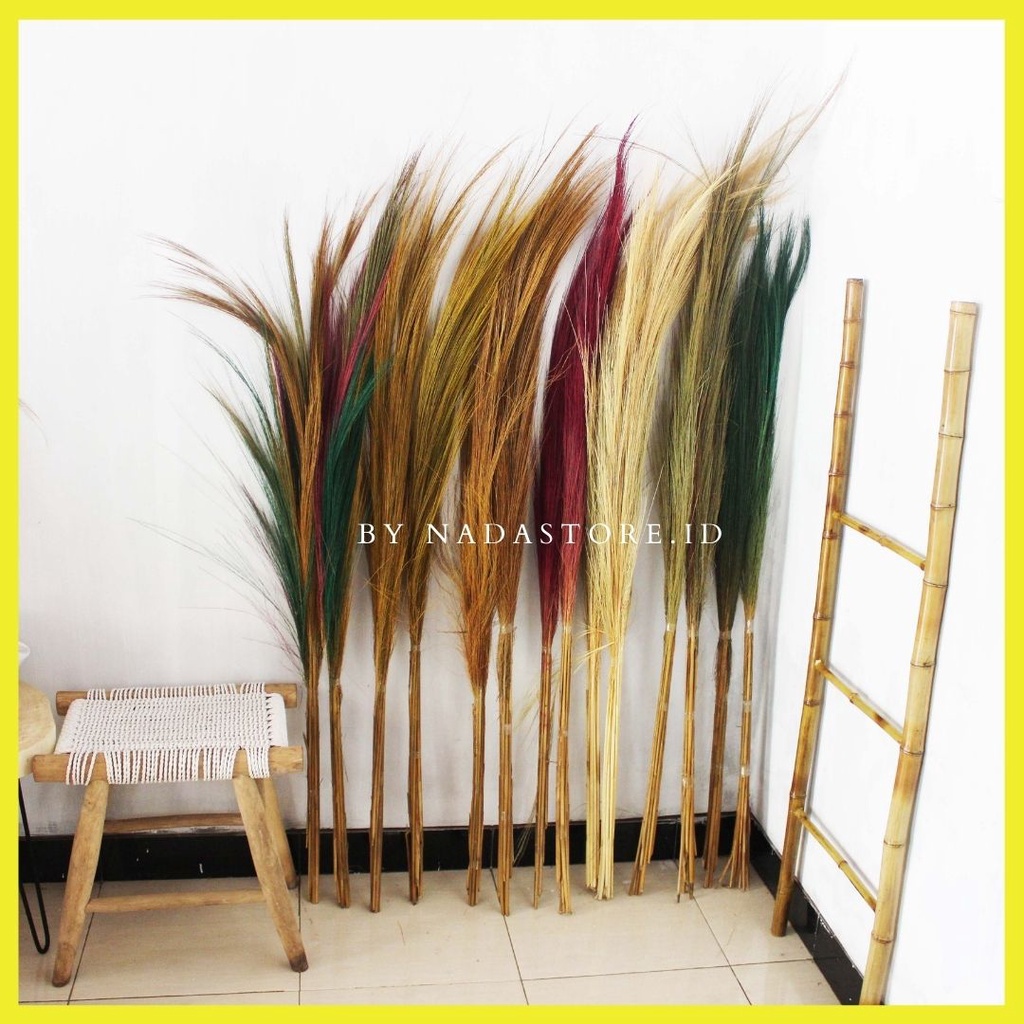 (Bundling isi 2 ) Rayung Stick / Bunga Kering / Dried flower / Bunga Hias / Natural Leaf Rayung Stick / Homedecor / Pajangan Dinding / Sekat Ruangan Tinggi 2 Meter Termurah untuk isi 2