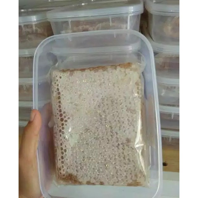 Madu Sarang Alami Asli Sarang Lebah Asli 100% Madu Melifera Premium Netto 250g