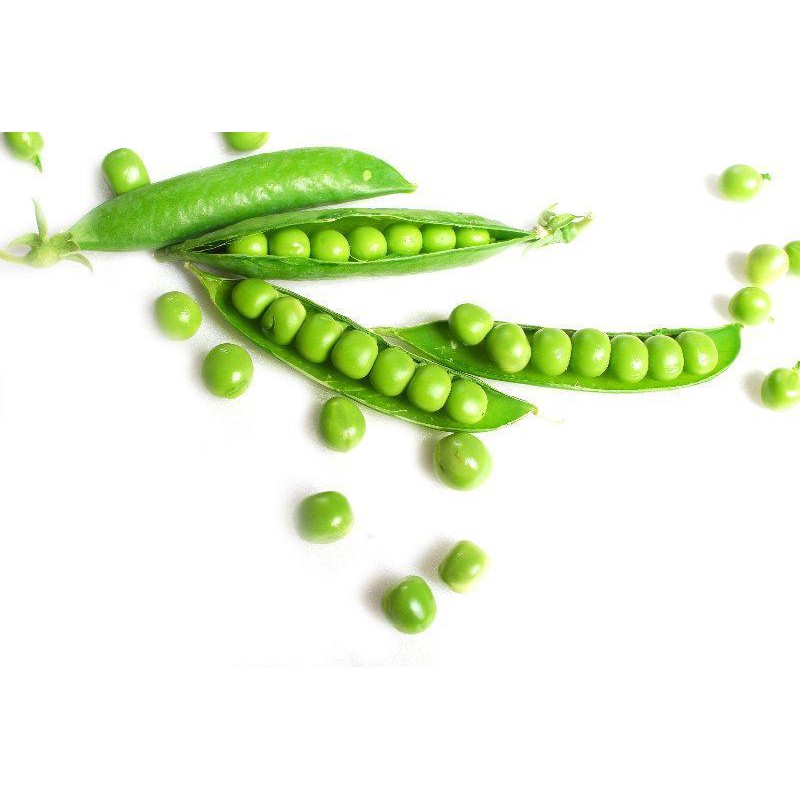 Pea Waverex 10 Biji (Benih Biji Bibit Tanaman Sayur Sayuran)