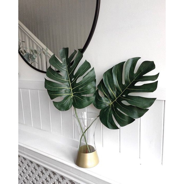 Daun Hias Monstera Aesthetic Murah Shopee Indonesia