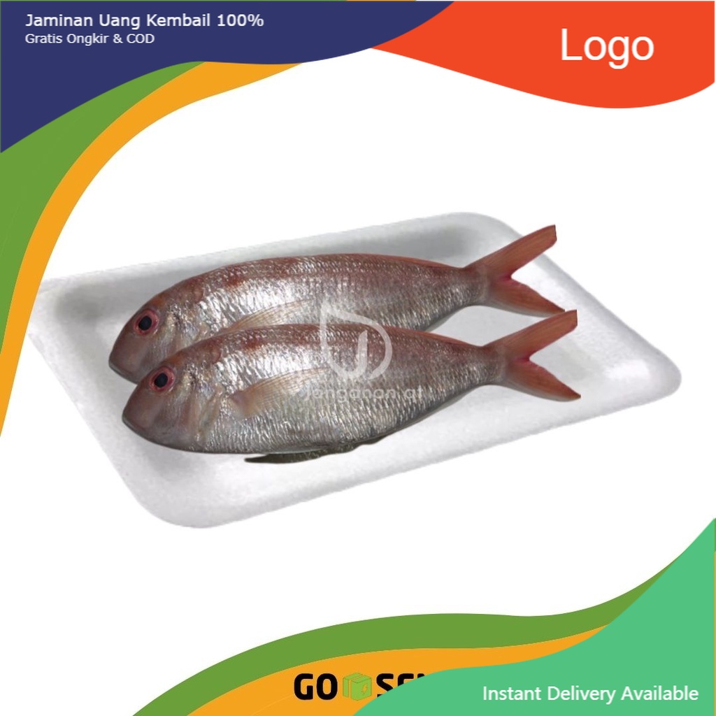

Ikan kuniran Segar -