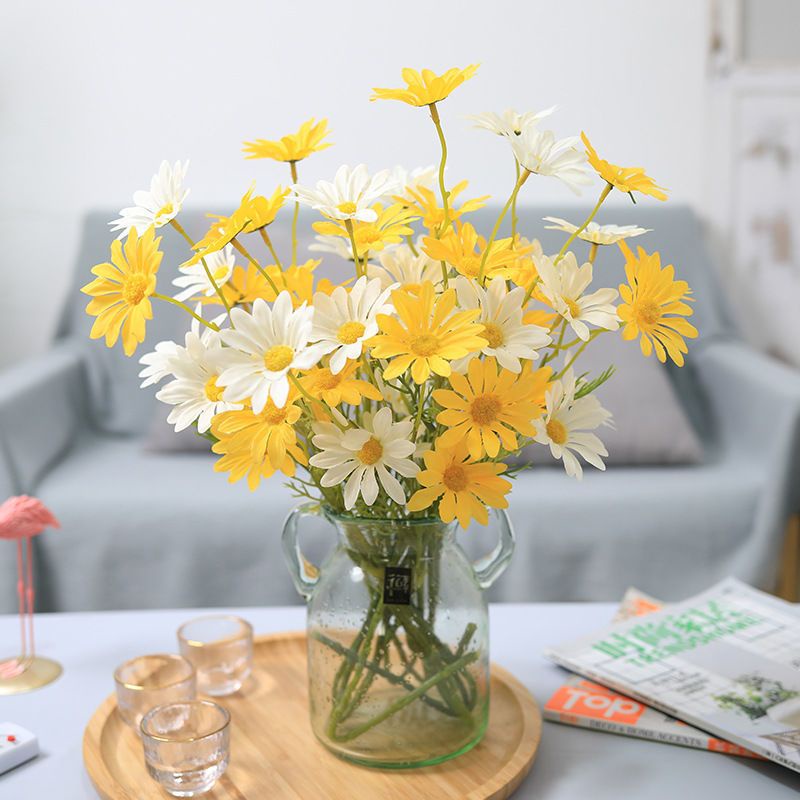 Bunga Chamomile Holland / Cosmos Daisy ( Tanpa Pot )