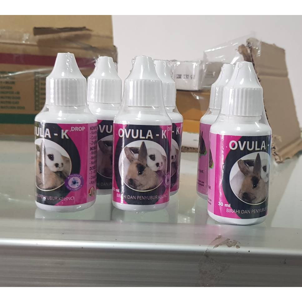 Ovula-k 30ml Kelinci