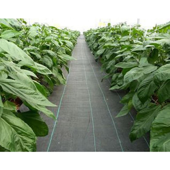 Weedmat Control (Meteran) - Easy Grow