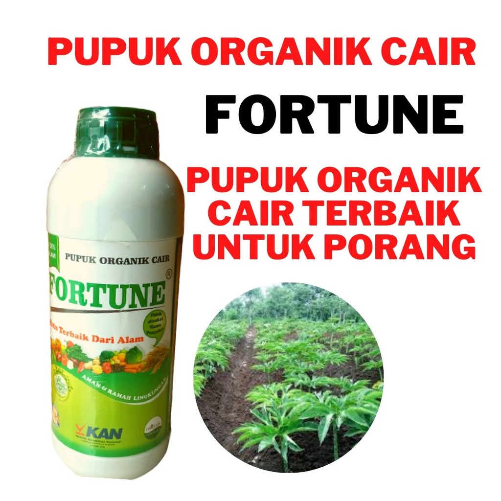 Pupuk Organik Cair Terbaik Untuk Porang, Pupuk Organik Cair Perangsang Bunga dan Buah Porang