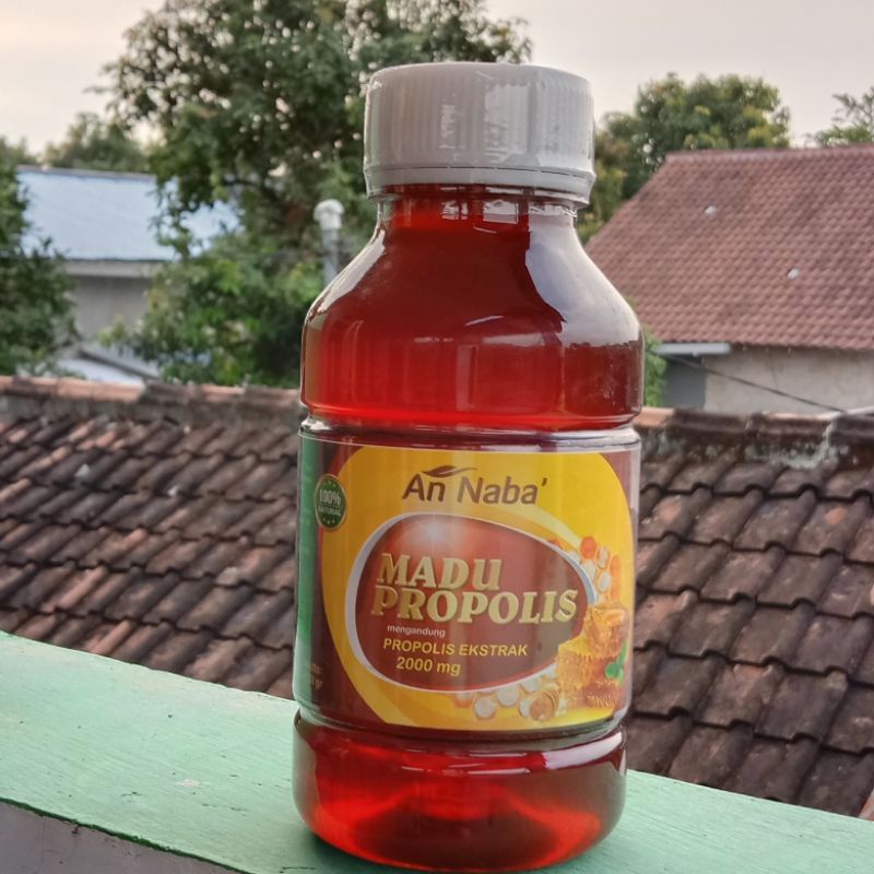 

Madu Propolis An naba'