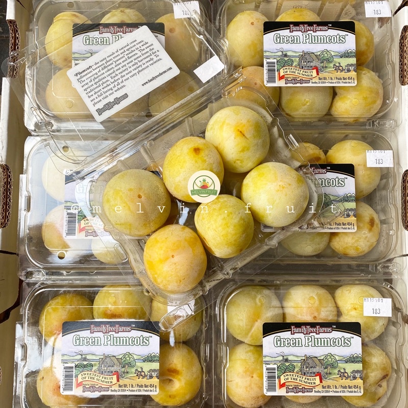 

Green Plumcots USA