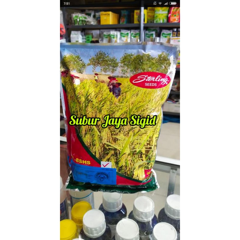 Padi Hibrida Sl 8 SHS (1kg)