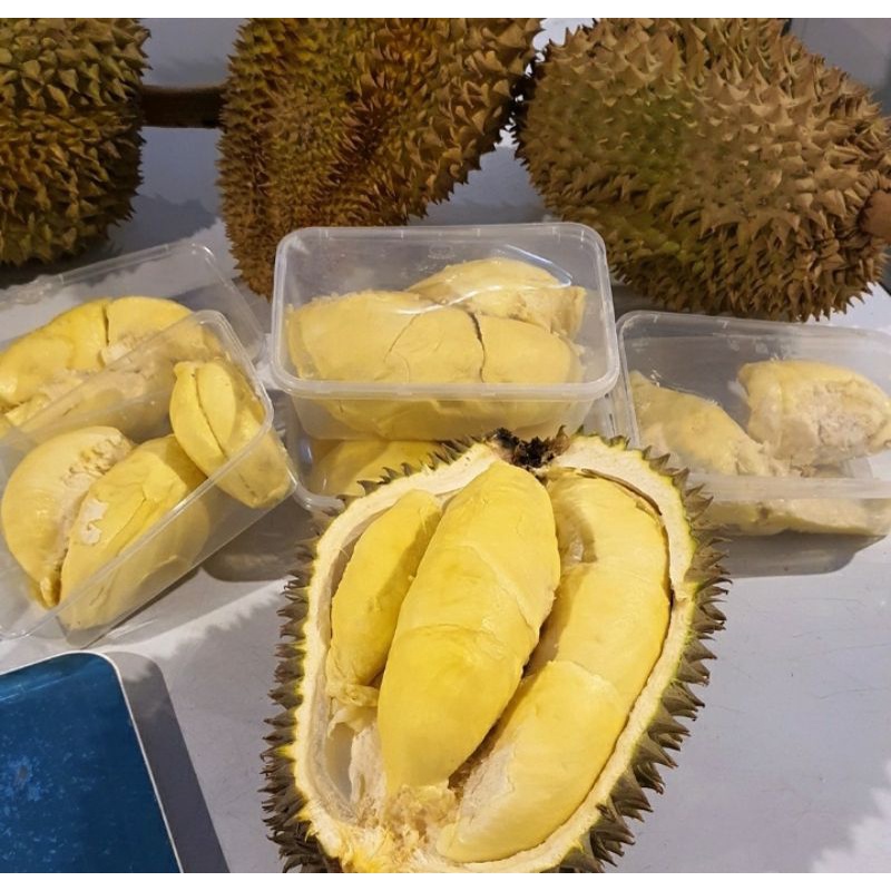 

DURIAN MONTHONG