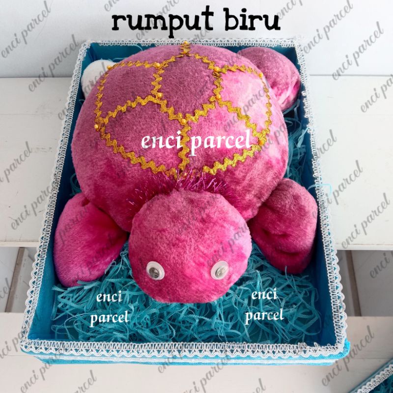 Rumput hias parcel