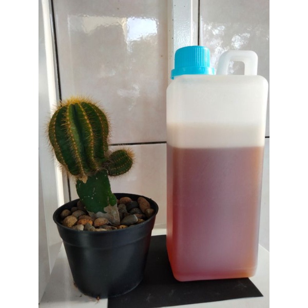 

madu randu