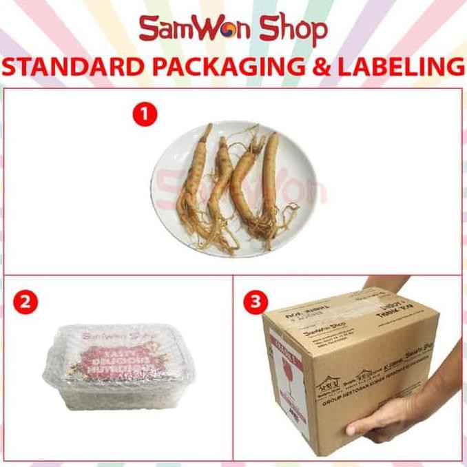 

Dijual Terlaris Ginseng 100% Fresh Korea Import Harga Promo Terlaris