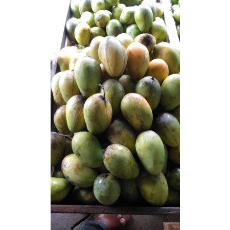 

Mangga Harum Manis 1kg