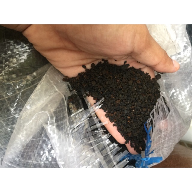PASIR MALANG Shopee Indonesia PASIR MALANG Shopee Indonesia