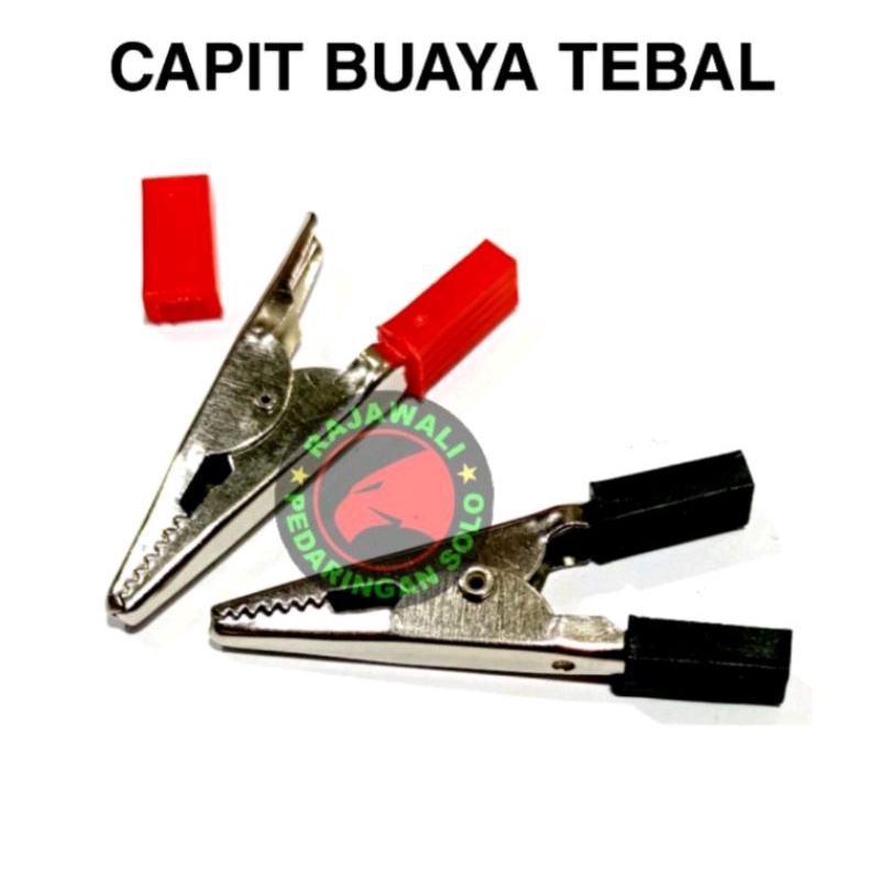 CAPIT BUAYA TEBAL JEPIT BUAYA TEBAL