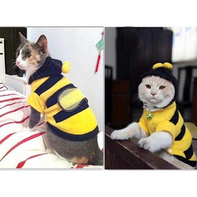 hoodie anjing kucing baju kostum lebah bee kuning