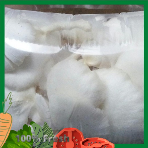 

jamur tiram 250 gram