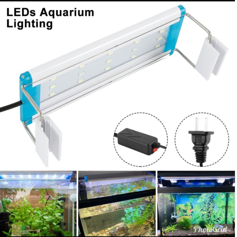 480 Koleksi Contoh Lampu Aquarium Gratis