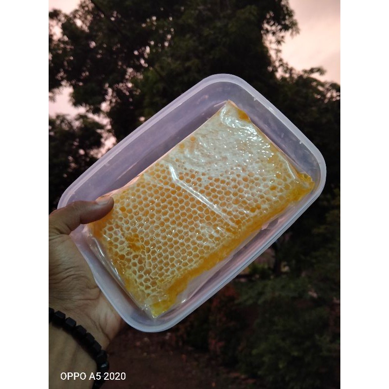 

SARANG MADU / MADU SARANG MADU MURNI NEKTAR BUNGA MULTIFLORA