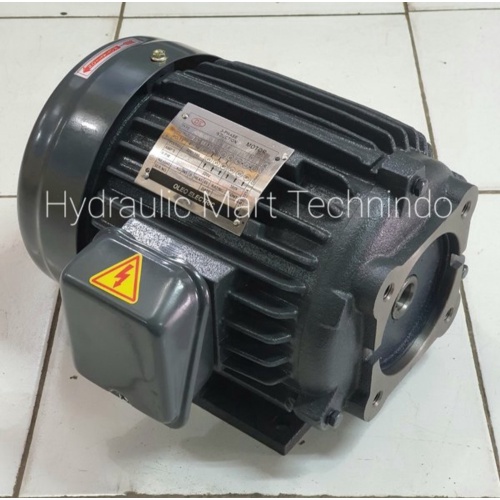 Dinamo 15KW 2HP-3Phase-4Poles AC220380V as 19mm-female merk OLEO ELECTRIC -  for Variable Vanepump 3