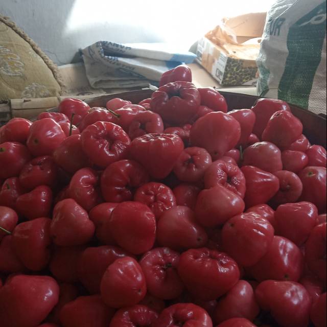 

Jambu rujak NE'EM(NM) buah segar