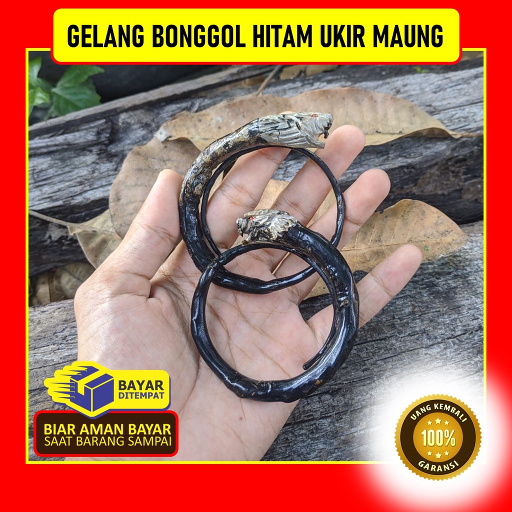 Gelang akar bahar hitam bonggol ukiran maung