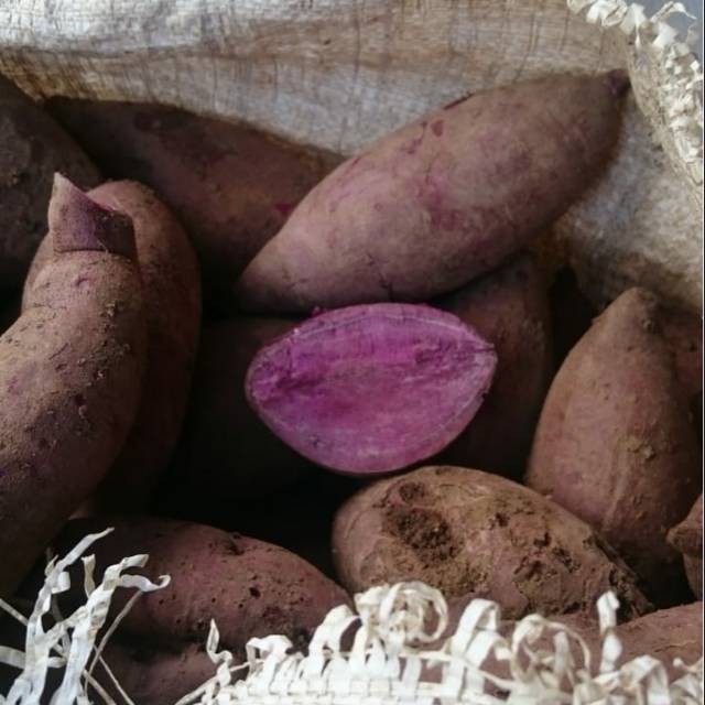 

Makanan, Ubi, Ubi Ungu, Ubi Ungu Murah