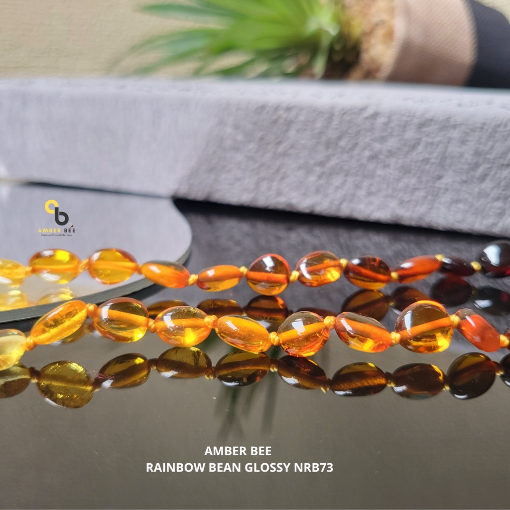 Kalung Amber Anak Premium Glossy Rainbow Beans NGRB73 By Amber Bee